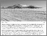 [thumbnail of Text based art work]