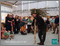 [thumbnail of Sylva_Summer-School-report-2022.pdf]