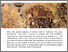 [thumbnail of Marta Czok ARCHIVUM VR EDITION ENGLISH PROGRAMME (2).pdf]