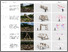 [thumbnail of Home grown house]