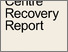 [thumbnail of Town-Centre-Recovery-Report_February-2022_V1.pdf]